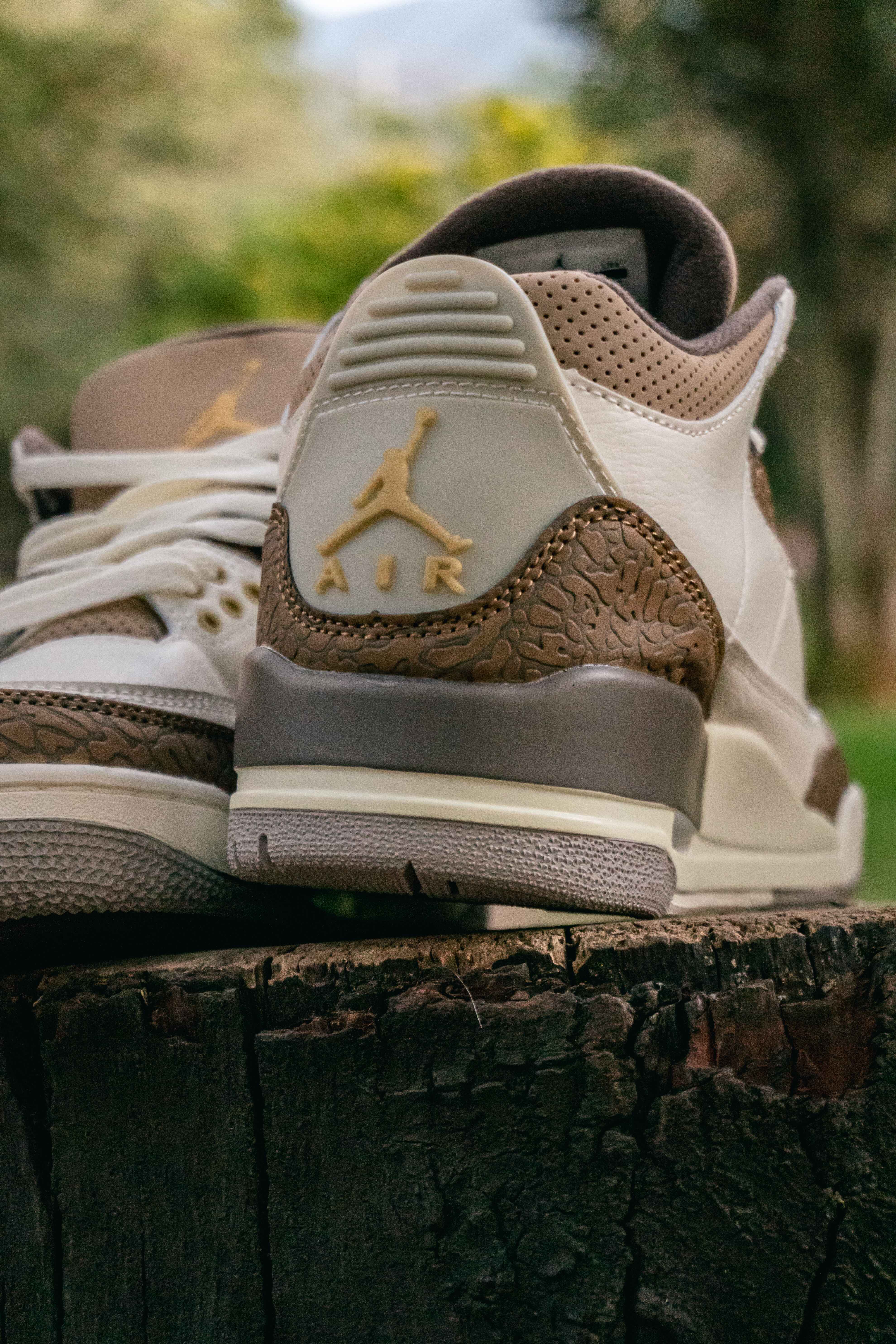 Air Jordan Retro 3 Palomino Neverssad