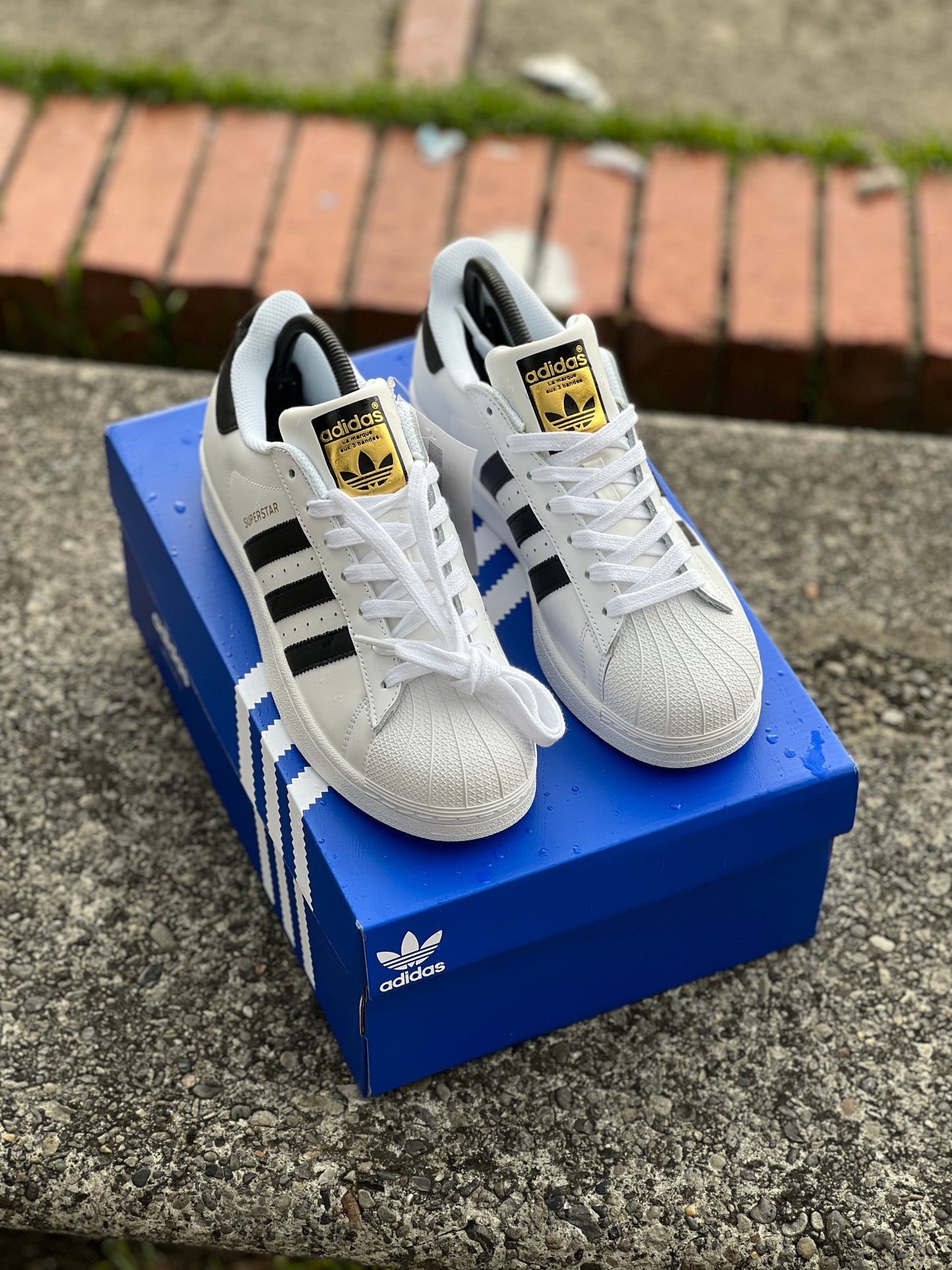 Adidas Originals Super Star