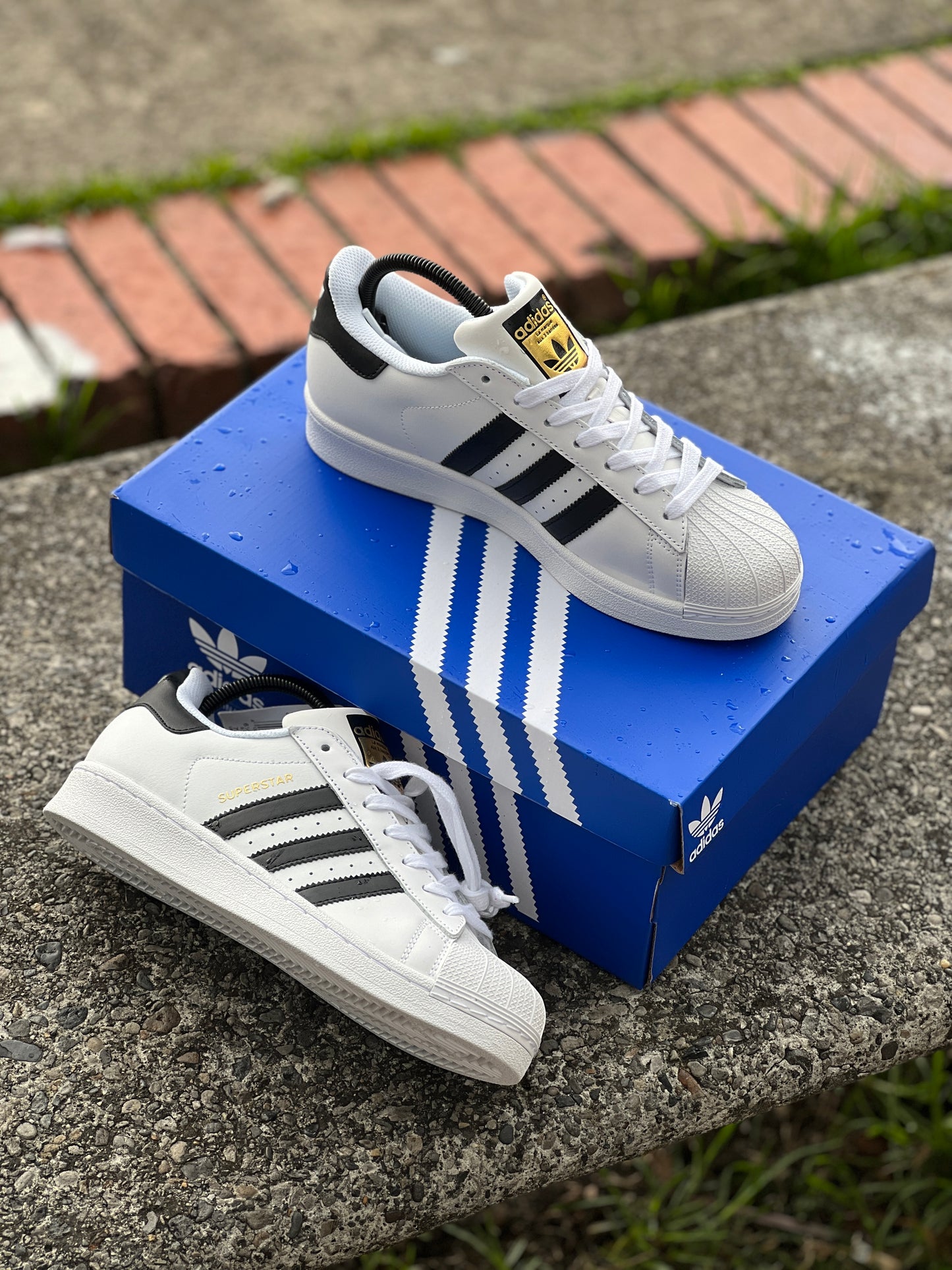 Adidas Originals Super Star